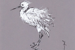 AIGRETTE-20x20