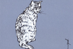 CHAT-10-20x20