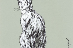 CHAT-11-20x20