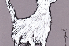 CHAT-2