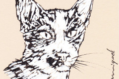 CHAT-3