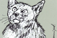 CHAT-4