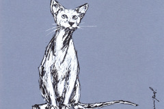 CHAT-5-20x20