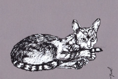 CHAT-6-20x20