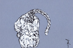 CHAT-7-20x20