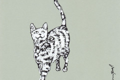 CHAT-8-20x20