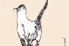 CHAT-9-20x20