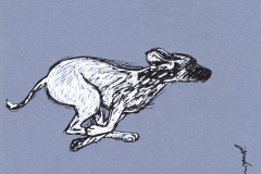 CHIEN-11-20x20