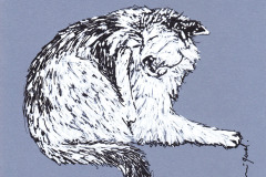 CHIEN-13-20x20