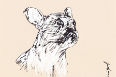 CHIEN-14-20x20