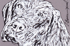 CHIEN-3