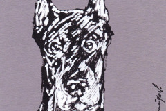 CHIEN-4