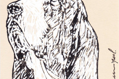 CHIEN-5
