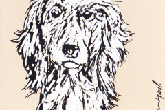 CHIEN-6