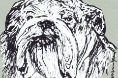 CHIEN-7