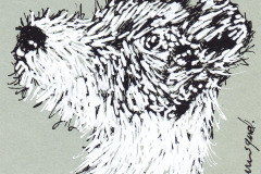 CHIEN-8