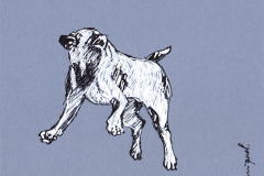 CHIEN-9-20x20