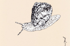 ESCARGOT-1-20x20