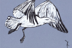GOELAND-20x20