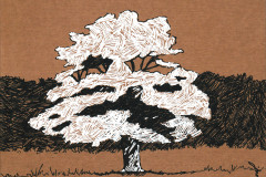 Les-arbres-1-2023