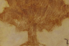 Les-arbres-17-13x13