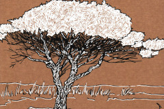 Les-arbres-2-2023