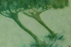 Les-arbres-23