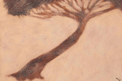 Les-arbres-24
