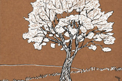 Les-arbres-3-2023