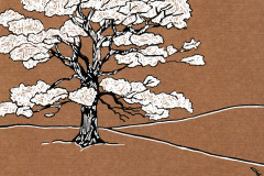 Les-arbres-4-2023