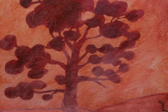 Les-arbres-6