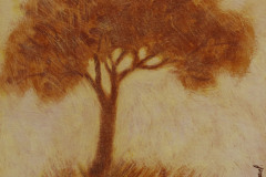 Les-arbres-8