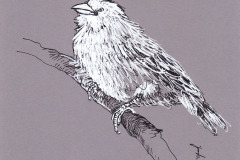 MOINEAU-1-20x20