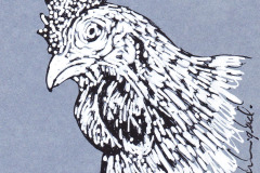 POULE-ET-COQ-1