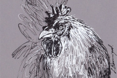 POULE-ET-COQ-4-20x20