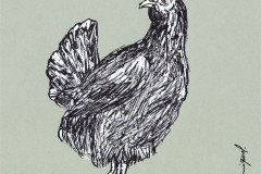 POULE-ET-COQ-5-20x20