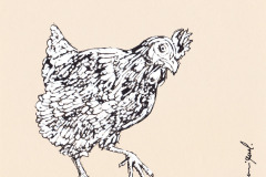 POULE-ET-COQ-6-20x20