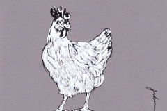 POULE-ET-COQ-7-20x20