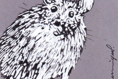 RONGEUR-2