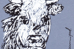 VACHE-1