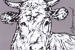 VACHE-2