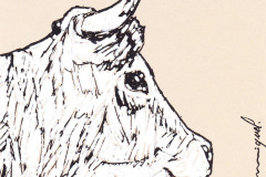 VACHE-3