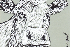 VACHE-4