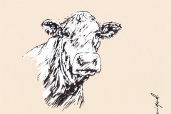 VACHE-6-20x20