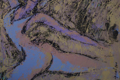 Constellation-2-2011-80X80